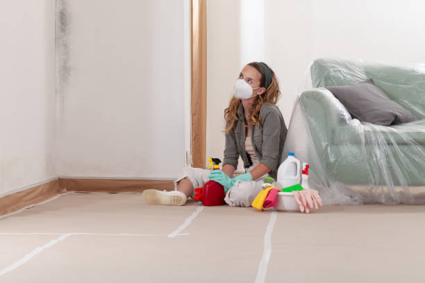 Reliable Attic Mold Removal contractor in Lexington, MA by WQB Mold Removal